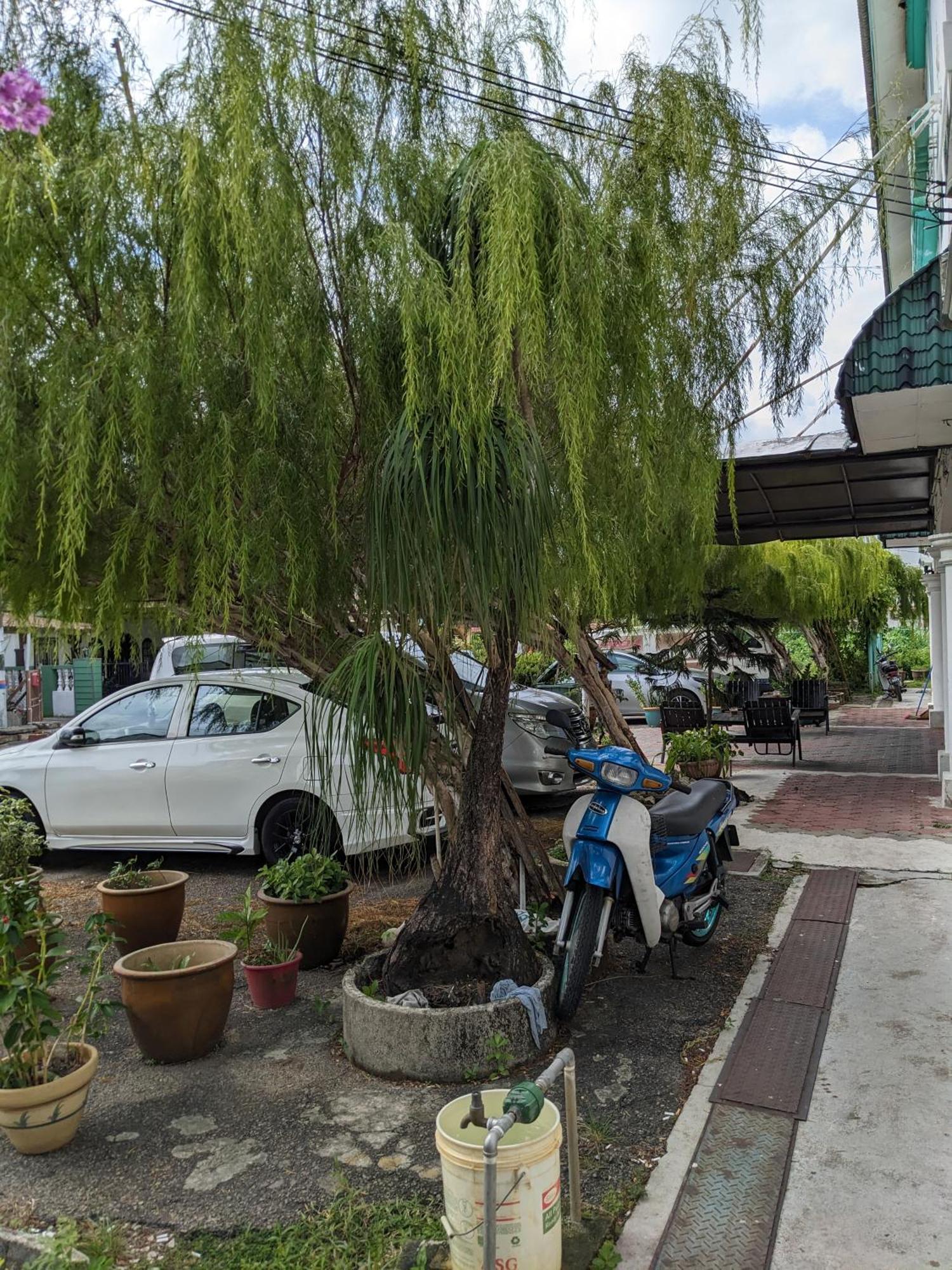Ene Sri Cemerlang Kota Bharu Exterior foto