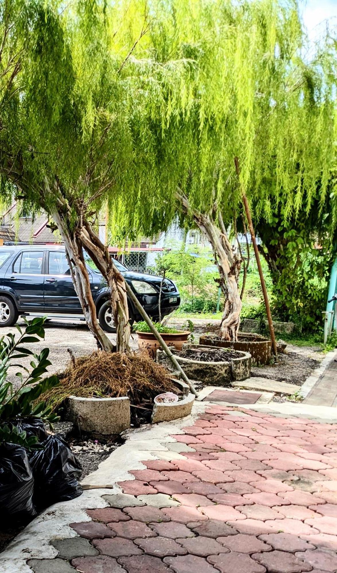 Ene Sri Cemerlang Kota Bharu Exterior foto